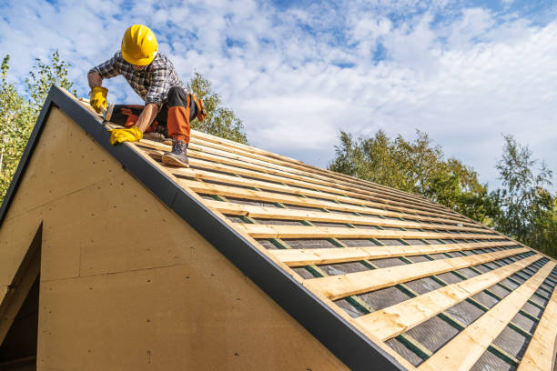 Best Roof Gutter Cleaning  in Bellville, TX